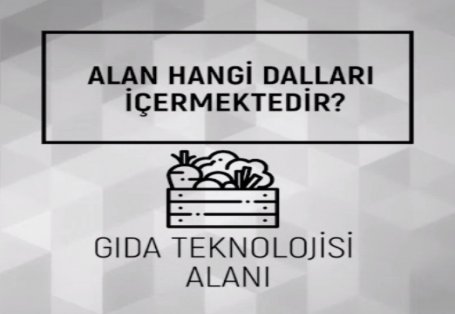Gıda Bölümü